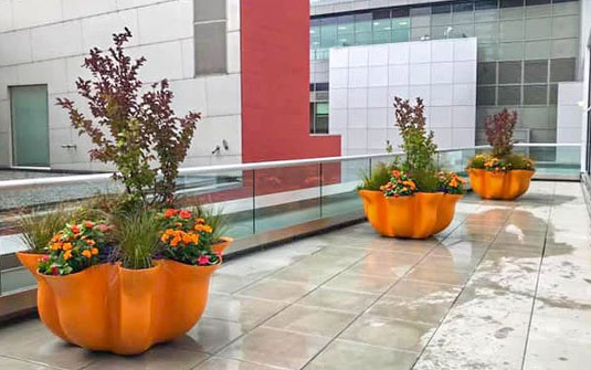 large orange pots with trees on a balcony