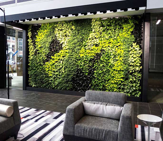 vinden er stærk sofistikeret Mania Office Plants Service & Living Walls | Botanical Designs