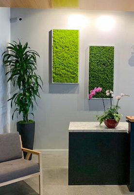 Reception Area with Moss Panels and Orchid