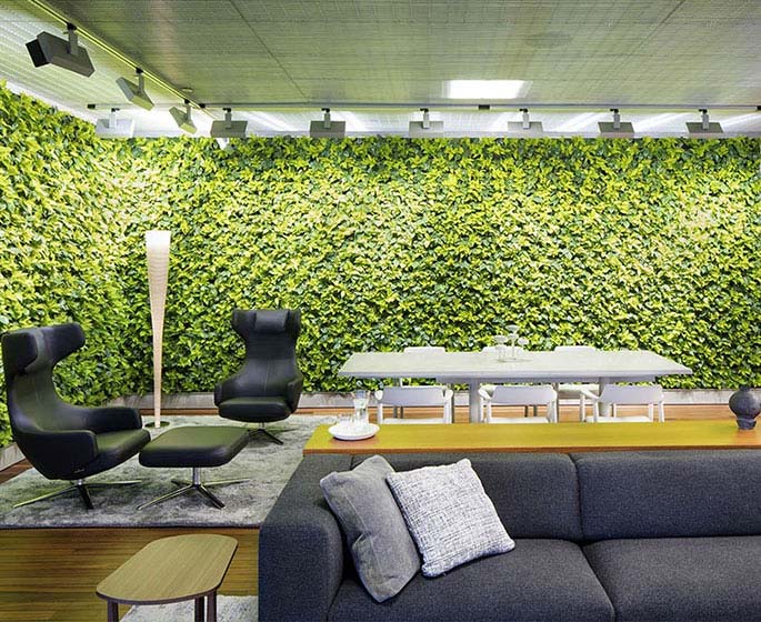 Green wall in modern looking office