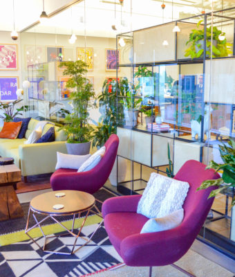 Interior Office Lounge Plants