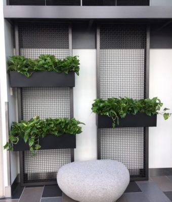 Industrial-Style Metal Wall Planters