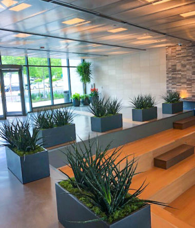 Commercial Office Foyer with planter boxes.