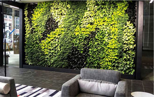 Create a Vertical Green Wall with Houseplants  Platt Hill Nursery  Blog   Advice