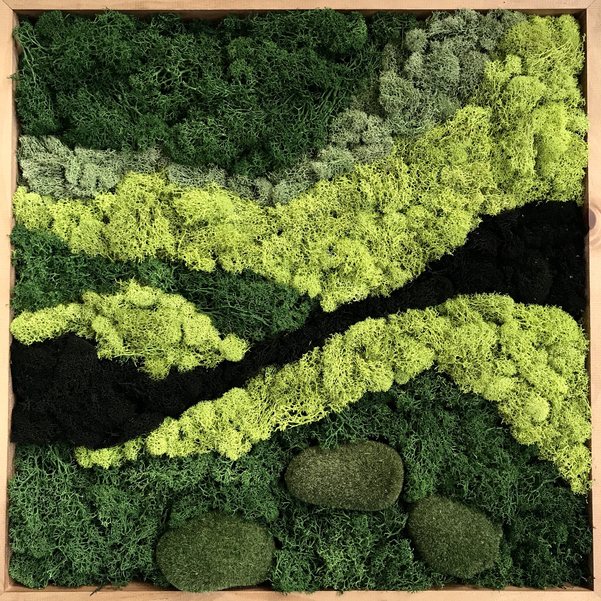 Phipps Conservatory and Botanical Gardens on X: Join us on Jan. 30 to  create your very own moss shadowbox! Moss art brings the beauty and texture  of nature into your home during