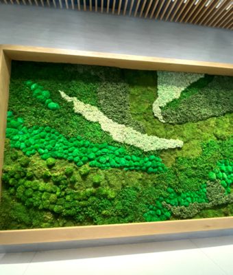 Botanica Fern and Moss Wall  Moss and Fern Wall – Green Wallscapes